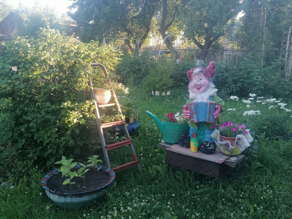  лунный посевной календарь для дачников 