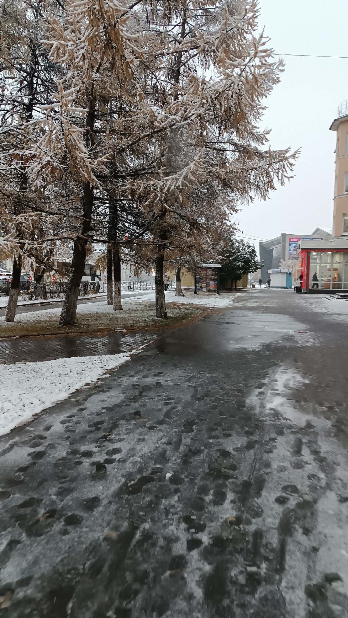 27 марта во Владимирской области ожидается мокрый снег и до +11