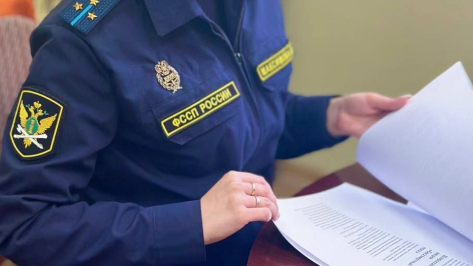 Жительницу Коврова осудят за оскорбление и избиение судебного пристава