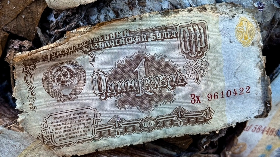 В лесу Владимирской области нашли свалку мешков с миллиардами советских рублей