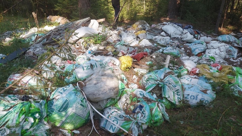 Прокуратура через суд обязала Минлесхоз убрать свалку лесу в Ковровском районе 