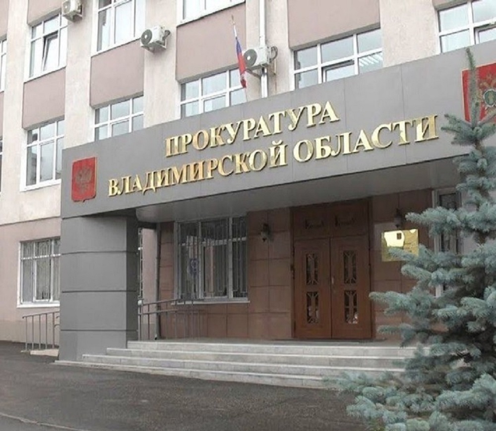 Многодетной семье из Владимрра пришлось добиваться детского пособия через прокуратуру