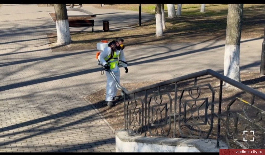 Во Владимире начали обрабатывать парки и скверы от клещей