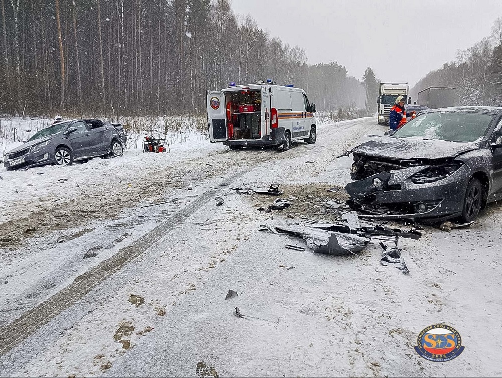 Во Владимирской области спасатели извлекли пострадавших из искореженной в ДТП легковушки