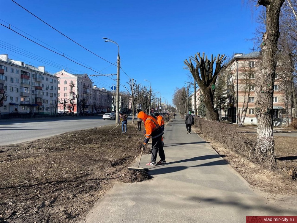 Во Владимире из-за плохой погоды отменили общегородской субботник