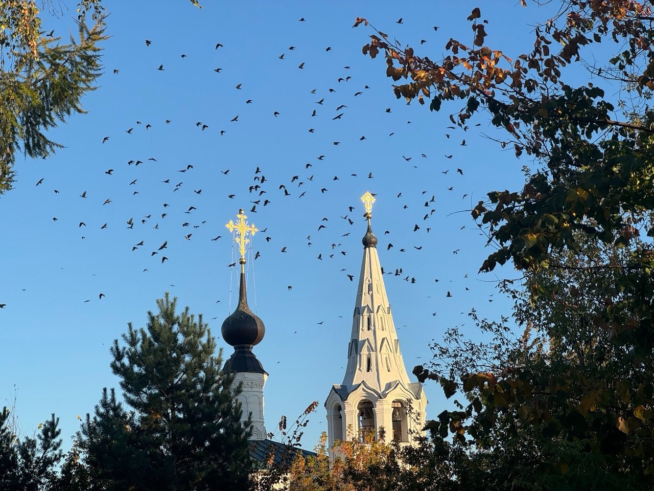 В Суздале состоятся пасхальные песнопения византийской традиции