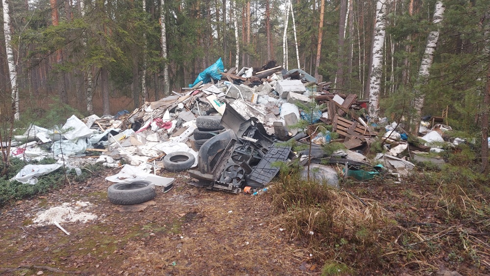 Во Владимире после вмешательства прокуратуры ликвидировали несанкционированную свалку