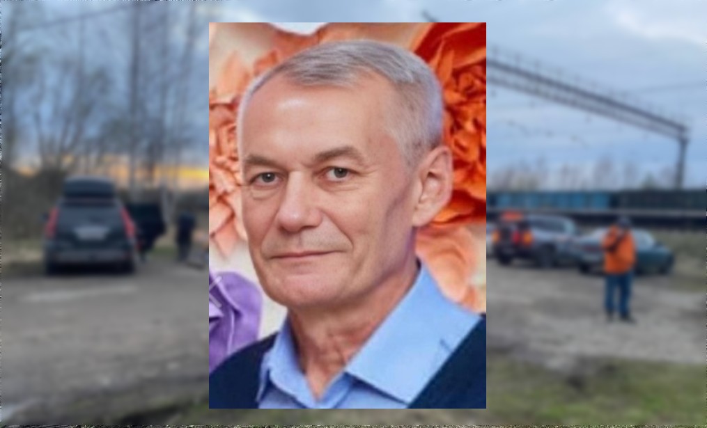 Во Владимирской области ведут проверку информации о пропавшем в лесу 67-летнем мужчине