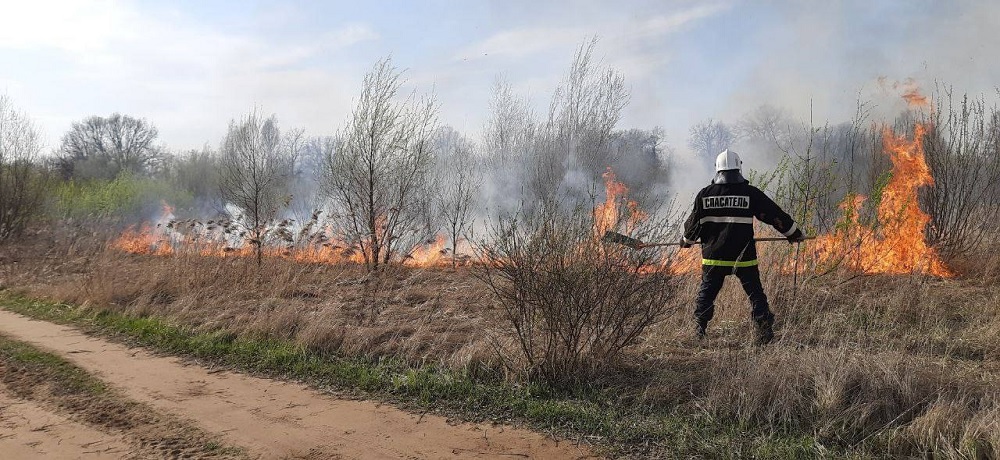 Под Владимиром пожарные тушили возгорание сухой травы 