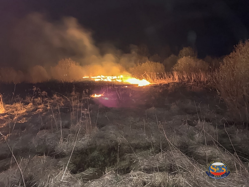 Во Владимирской области спасатели ликвидировали пал травы площадью 30 гектаров