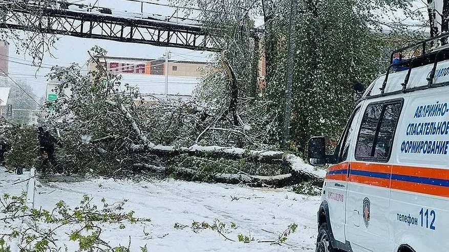 Во Владимирской области установили 41 опору и 106 пролётов ЛЭП после снегопада