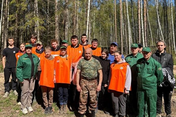 Во Владимирской области в рамках акции «Сад памяти» высажены сосны и ели
