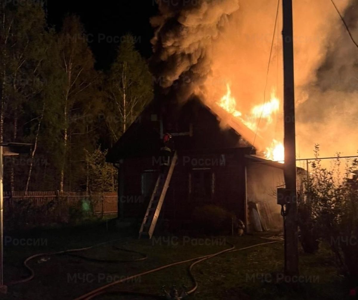 Во Владимирской области погиб человек в крупном пожаре на 3 частных дома 