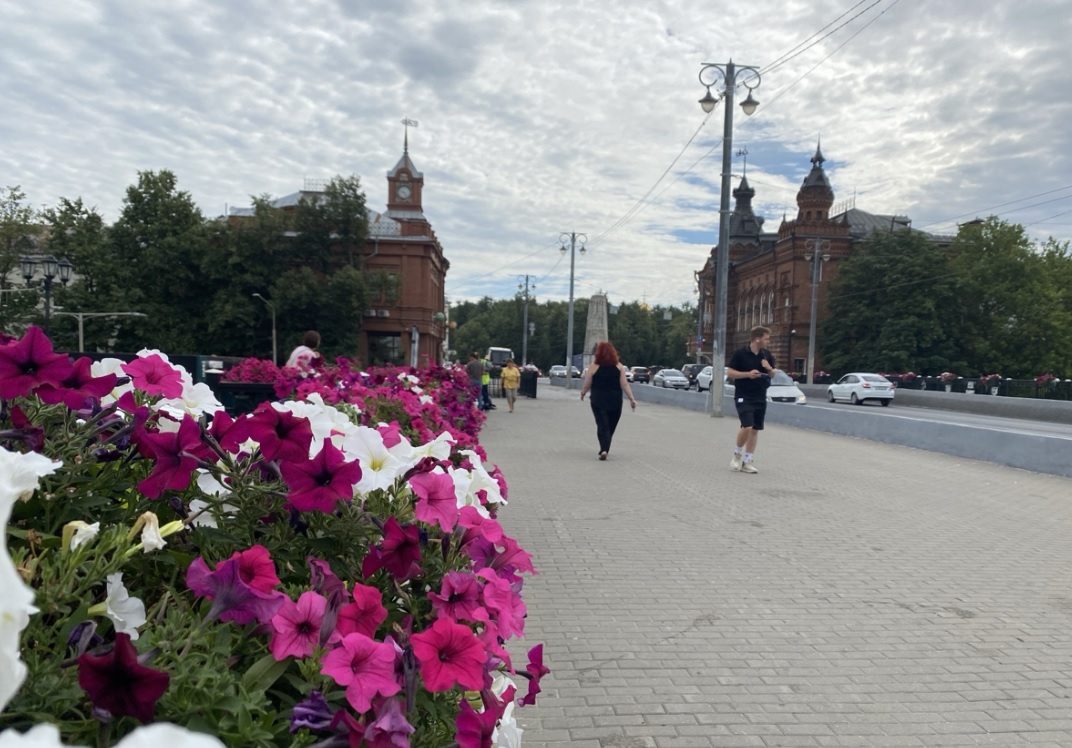 День полярника, День пионерии и День ирисок: календарь на 19-25 мая - какие праздники нас ждут?