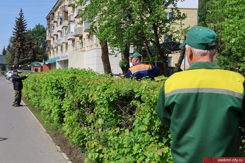 Во Владимире стартовал летний марафон покоса 2,4 миллиона квадратов травы