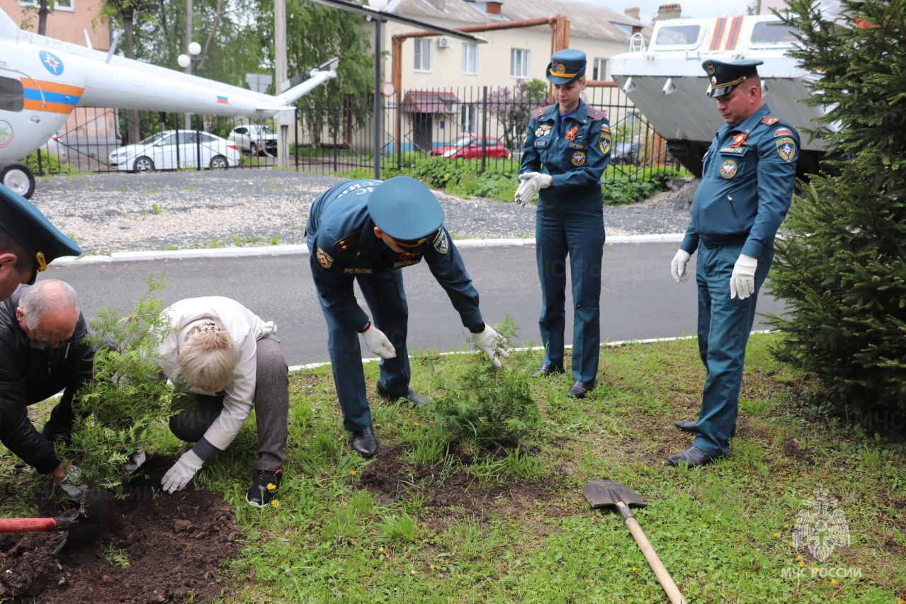 Владимирские спасатели посадили туи для «Сквера памяти»