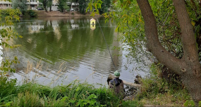 Во Владимире прошло совещание по благоустройству Соловьиного пруда