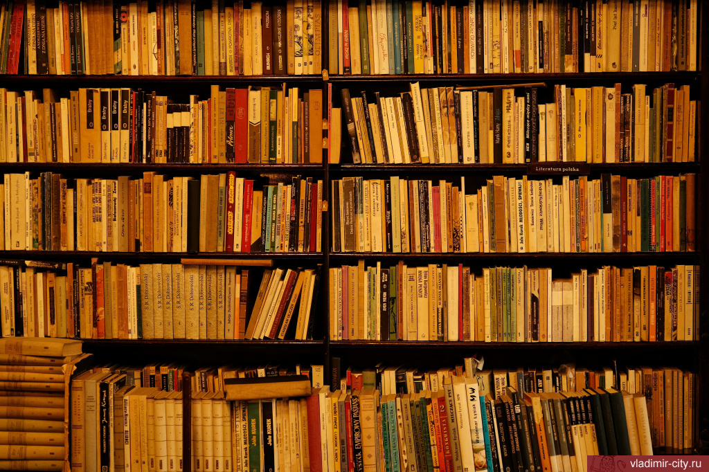 27 мая во Владимире пройдёт уличная акция «Бегущая книга» в День библиотек