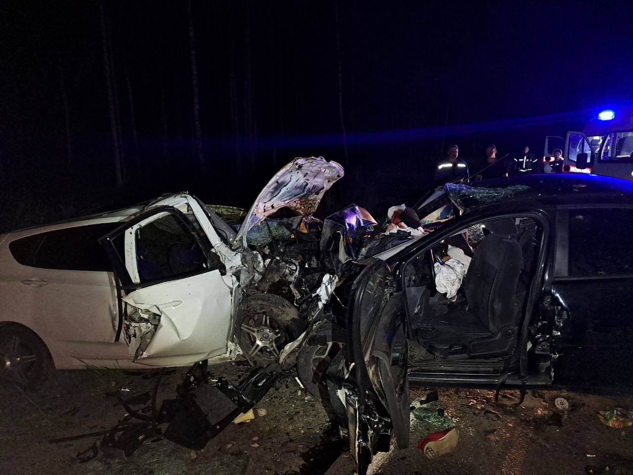 Четыре человека погибли во Владимирской области из-за выбежавшего на дорогу лося