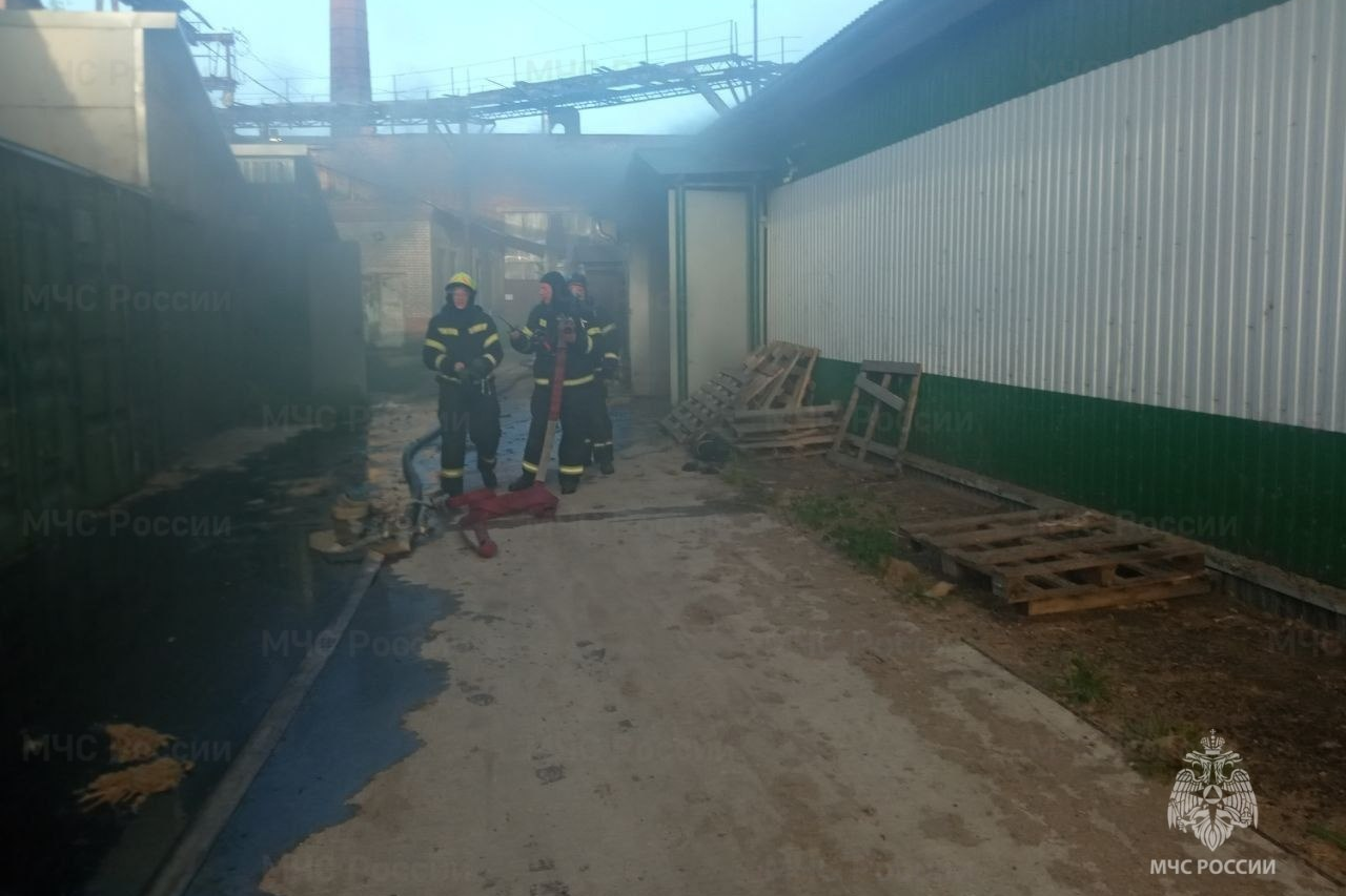 Во Владимирской области спасатели потушили 18 пожаров за сутки