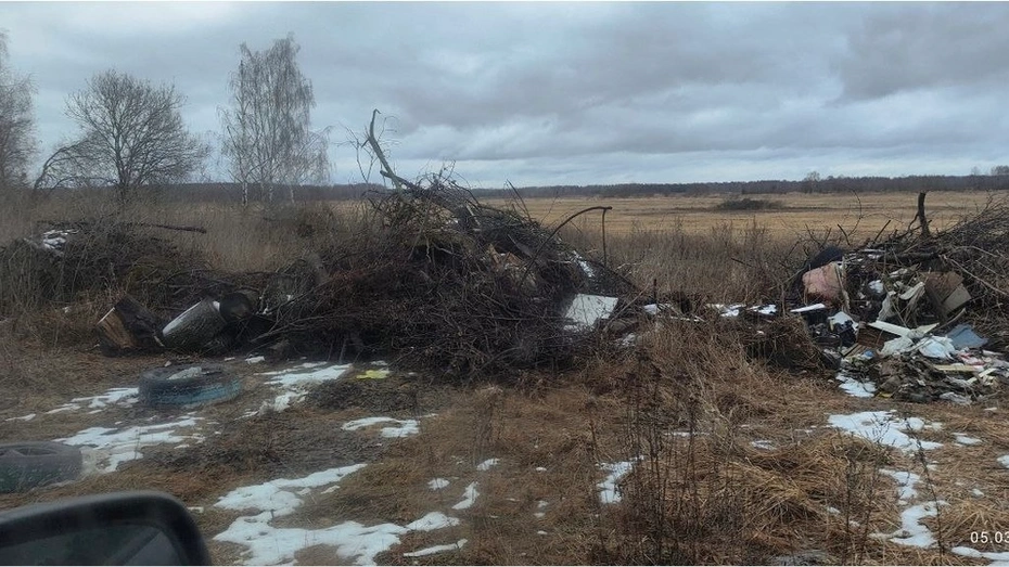 Прокуратура Собинского района потребовала ликвидировать стихийную свалку