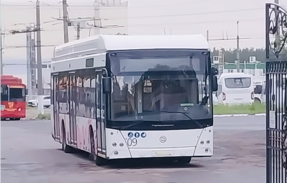 В Коврове сняли ограничения на количество льготных поездок по городу