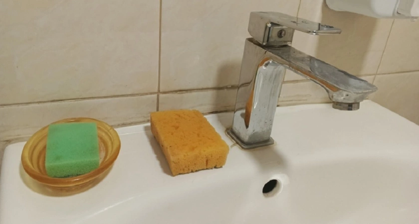  шокирующие результаты исследования