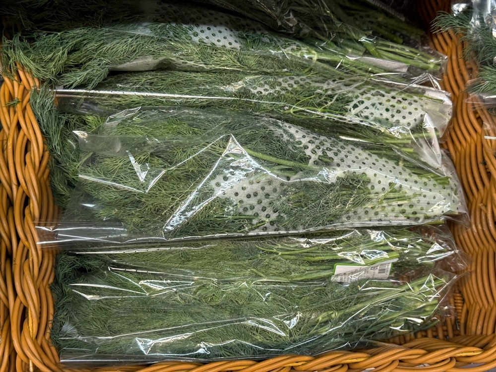  2 хитрости для шикарного урожая укропа, который будет радовать вас пышной зеленью