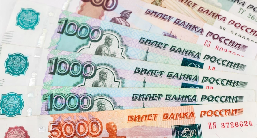 Владимирские опекуны получили свыше полутора миллионов рублей за усыновление детей