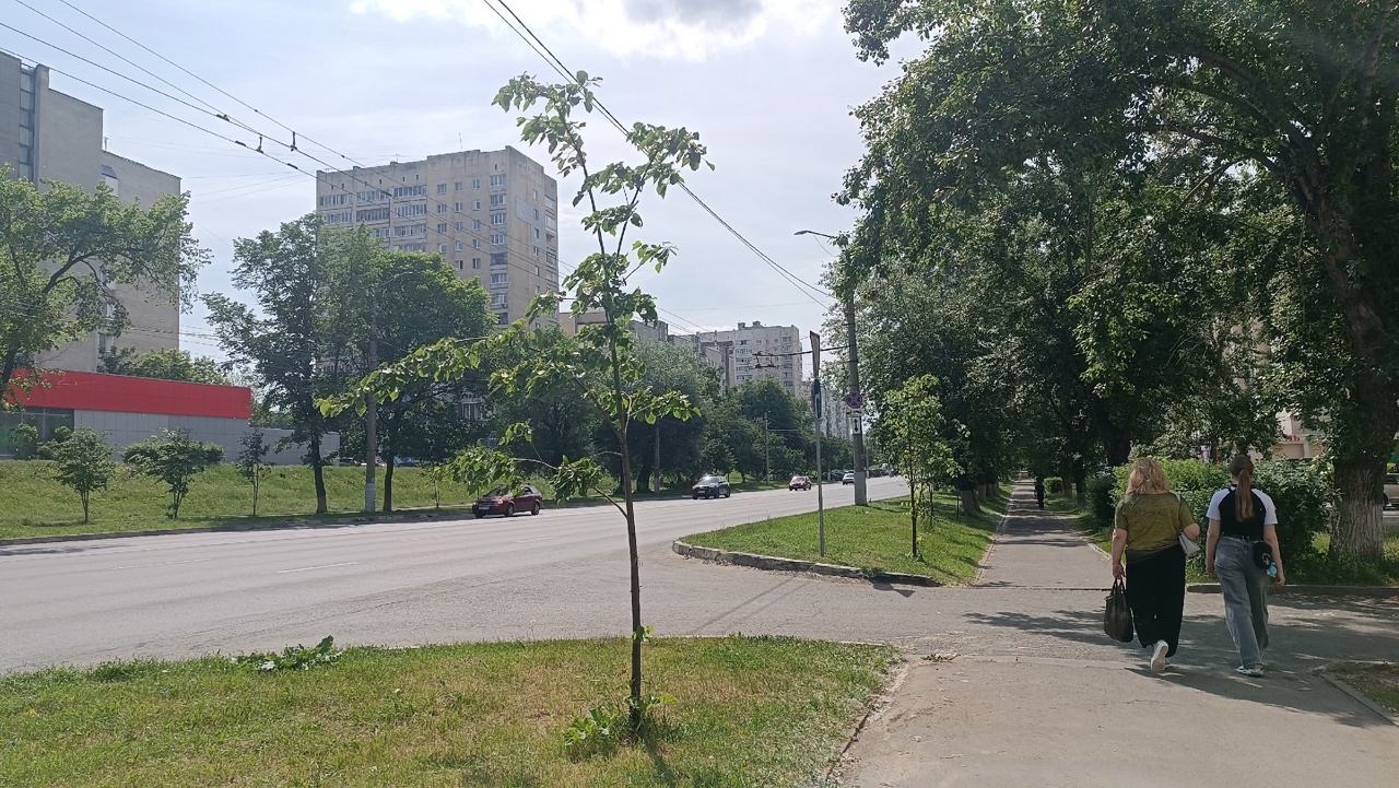  астрологи назвали 4 знака Зодиака, для которых этот день изменит все