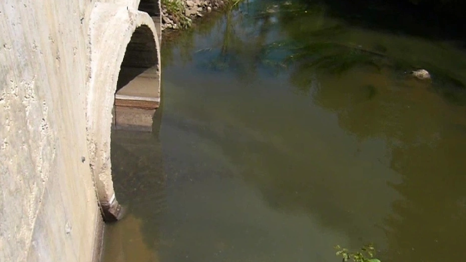 Эксперты подтвердили загрязнение Рпени сточными водами во Владимире