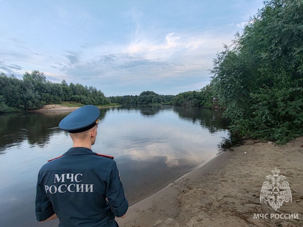 Во Владимирской области возле деревни Крутово обнаружили тело погибшей женщины