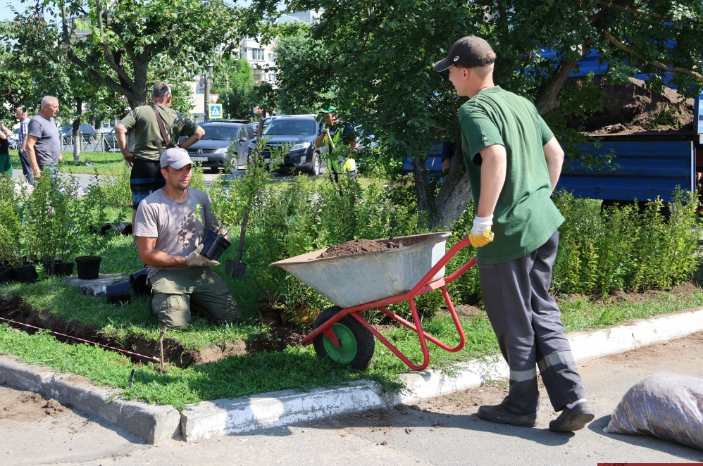 Более тысячи новых деревьев и кустов высадили во Владимире