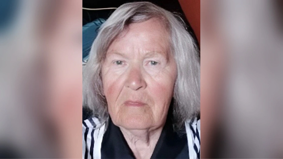 Во Владимире водителей просят помочь в поисках 87-летней женщины