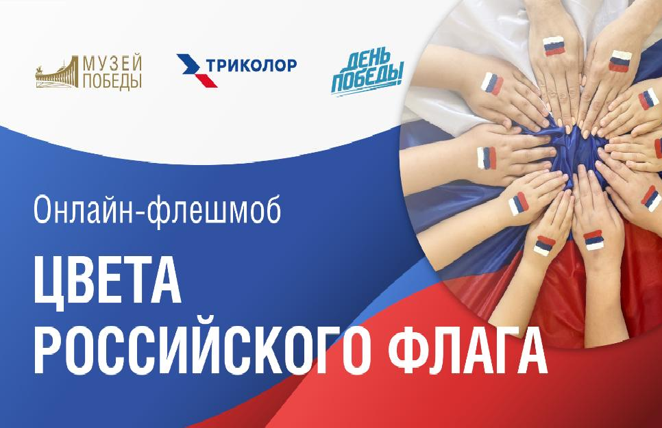 Владимирцы могут стать участниками флешмоба «Цвета российского флага»