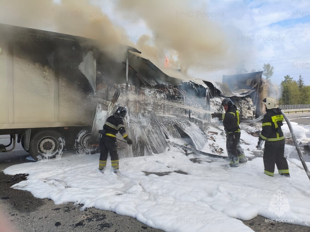 На трассе М-7 в Камешковском районе сгорели два автомобиля