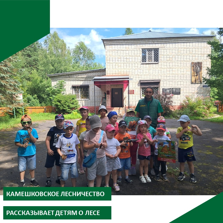 Дошкольники из «Рябинки» в Камешковском районе побывали на экскурсии по лесничеству