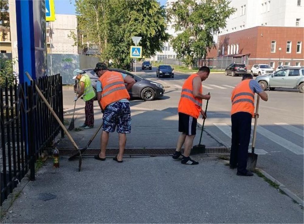 Во Владимире коммунальщики вывезли горы веток и скосили бурьян
