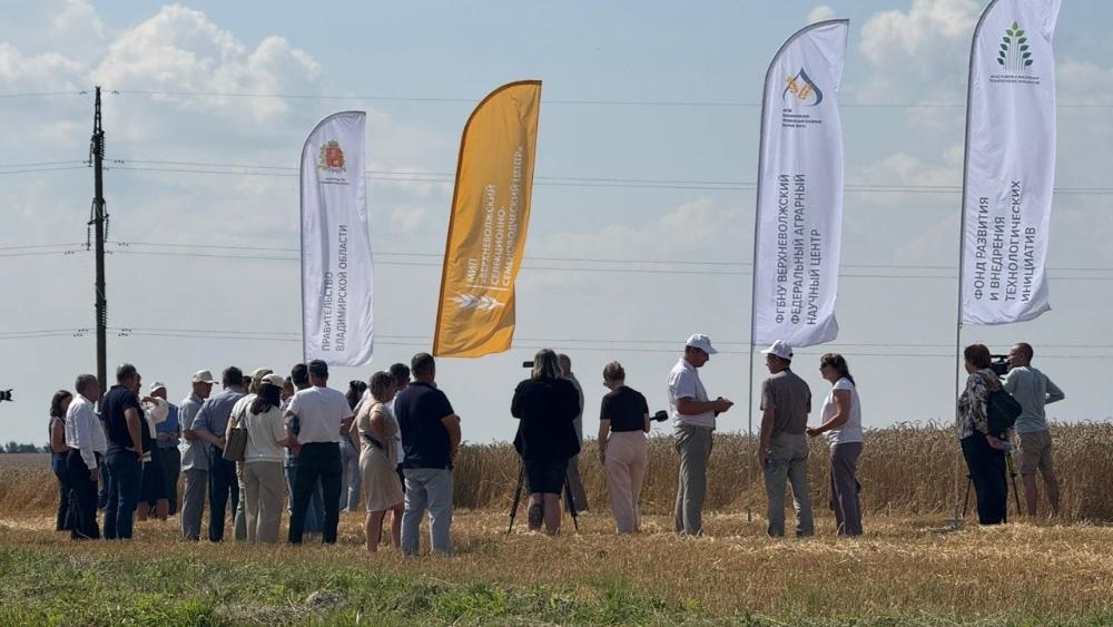 В Суздале обсудили повышение эффективности растениеводства в Нечерноземье