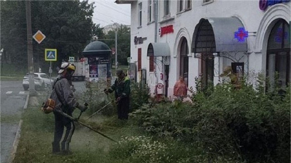 Коммунальщики косят траву на улицах Владимира