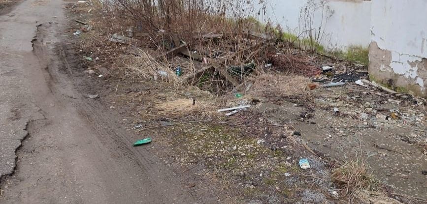 Прокурор Камешково добился через суд уборки мусора в городе