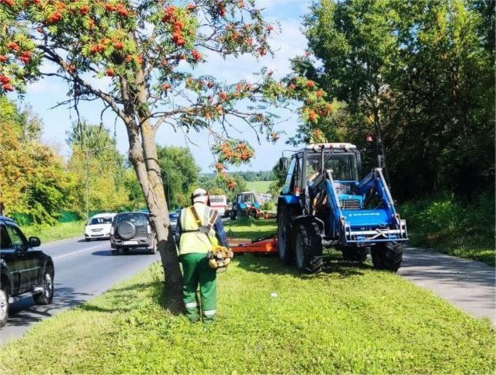 Во Владимире продолжился покос травы на городских улицах