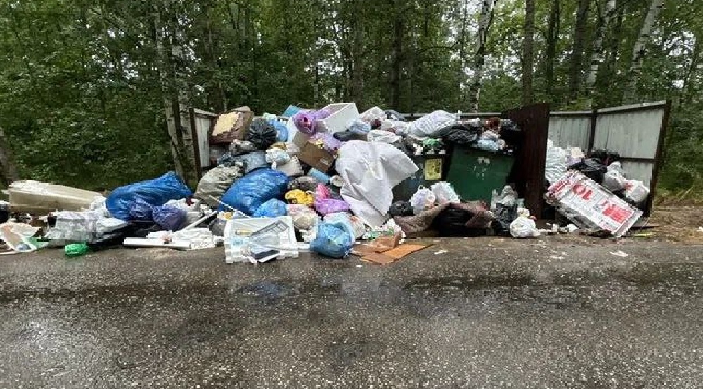 В Гороховецком районе наказали компанию за невывоз мусора