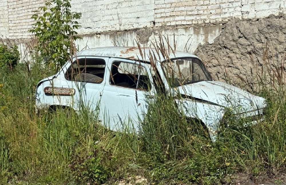 Брат и сестра из Александрова устроили семейный угон автомобиля