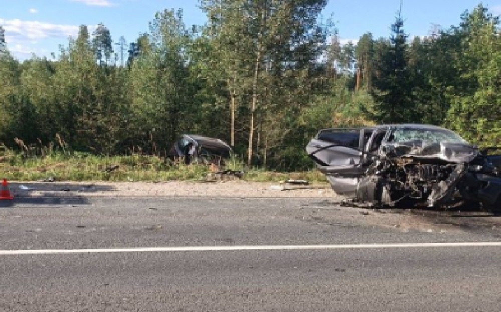 За неделю на дорогах Владимирской области произошло 44 ДТП с двумя погибшими