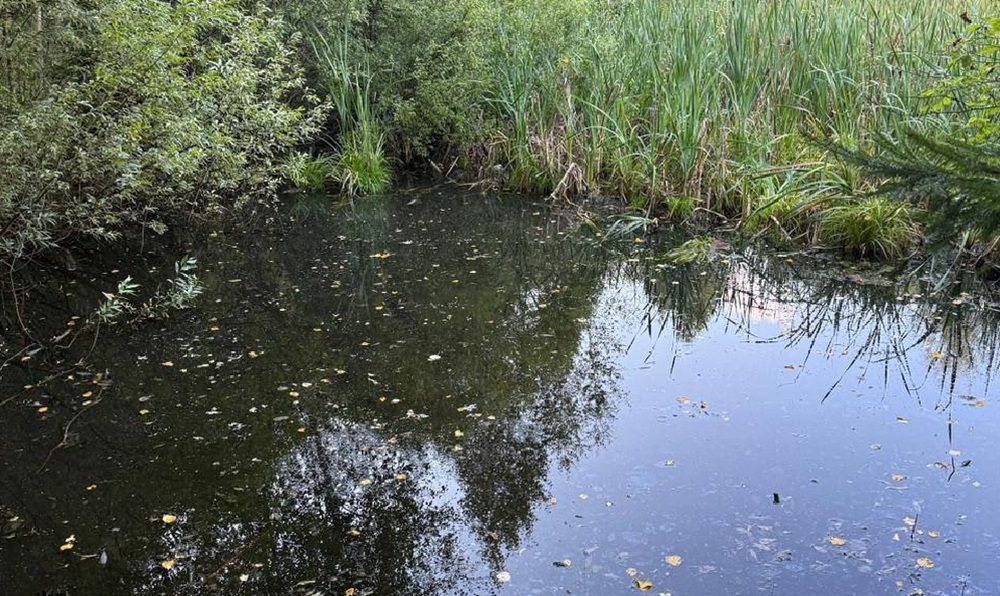 В ковровском водоёме погиб четырёхлетний ребёнок