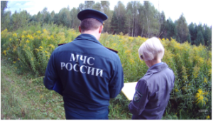 В Судогодском районе выявили еще 536 гектаров заброшенных земель