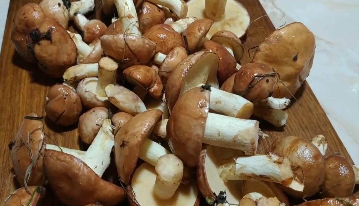  кому категорически нельзя есть любимые многими маслята?