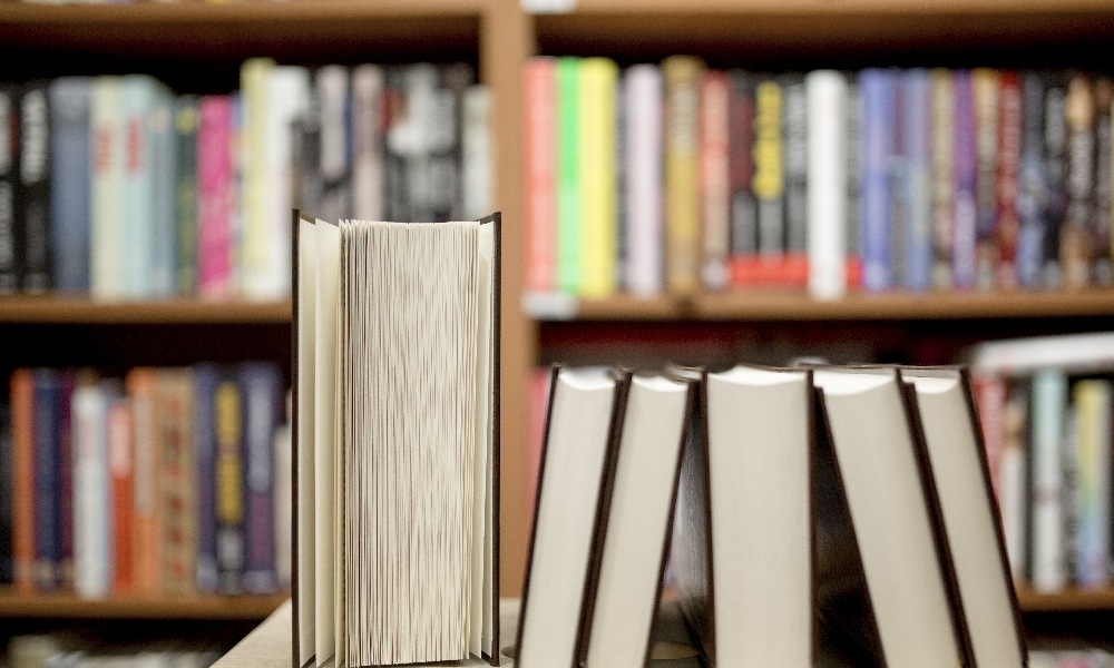 Писатели Владимирской области могут издать свои книги за счёт бюджета региона