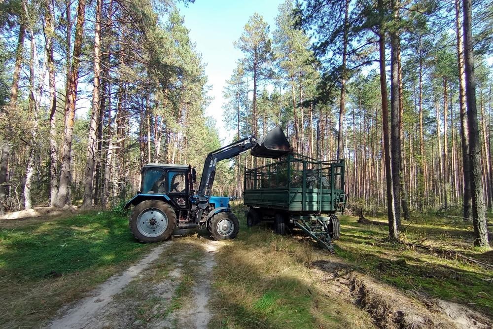 Владимирские лесники провели экологический субботник в рамках нацпроекта «Экологическое благополучие»